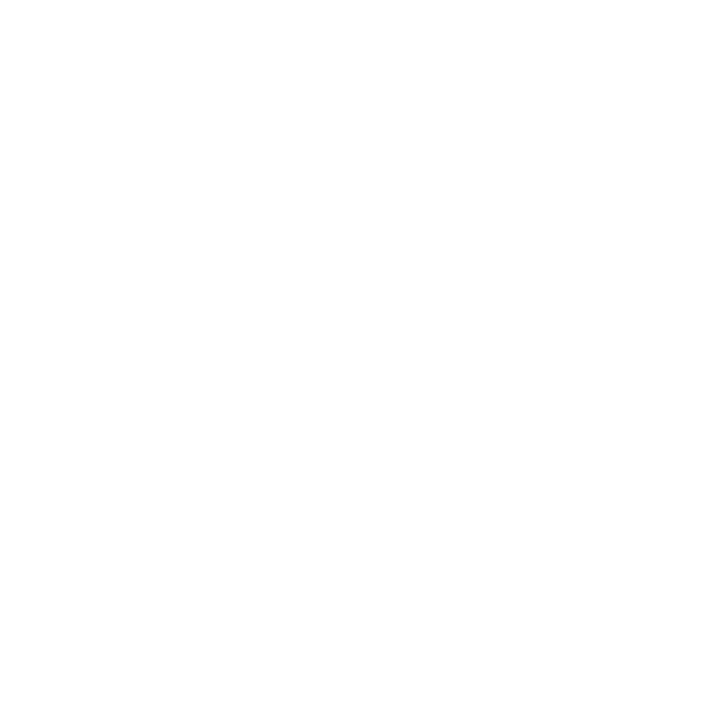 Logo1